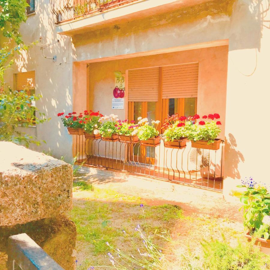 Gallura Experiences Li Criasgi Aggius Экстерьер фото