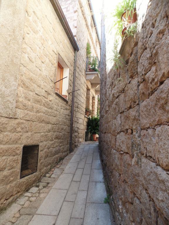 Gallura Experiences Li Criasgi Aggius Экстерьер фото